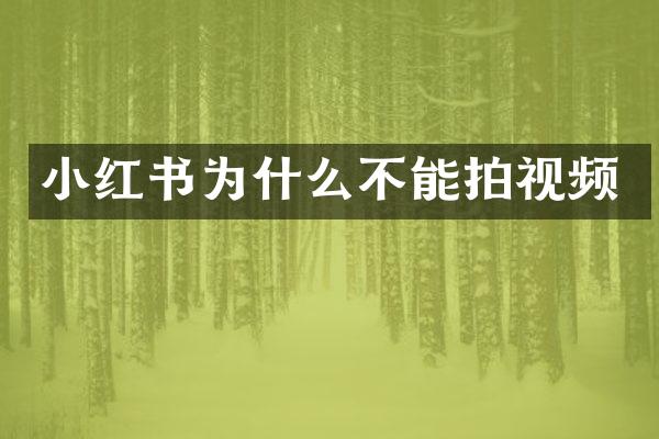 小红书为什么不能拍视频
