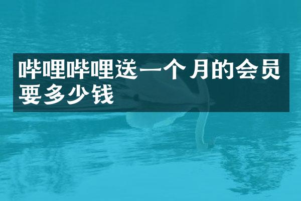 哔哩哔哩送一个月的会员要多少钱