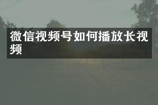 微信视频号如何播放长视频