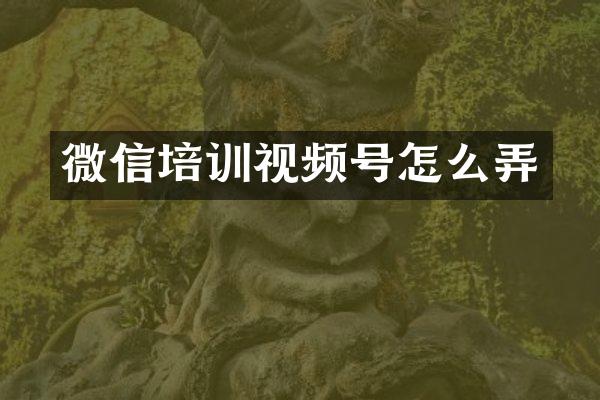微信培训视频号怎么弄