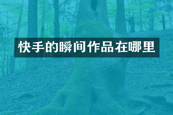 快手的瞬间作品在哪里