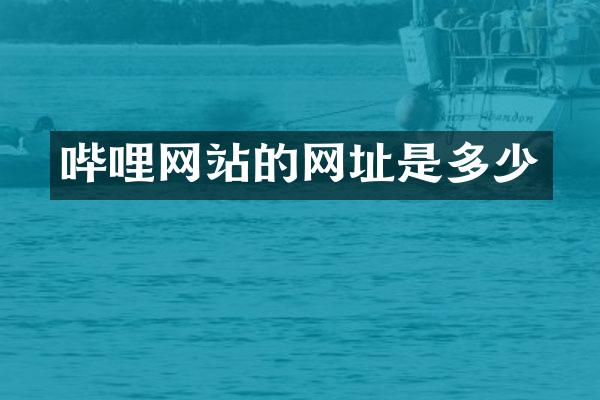 哔哩网站的网址是多少