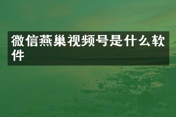 微信燕巢视频号是什么软件