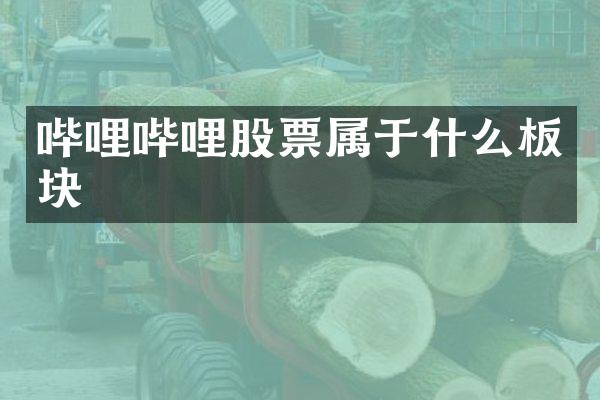 哔哩哔哩股票属于什么板块