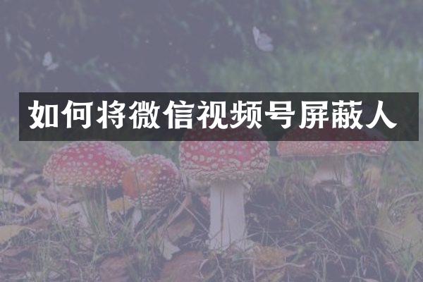 如何将微信视频号屏蔽人