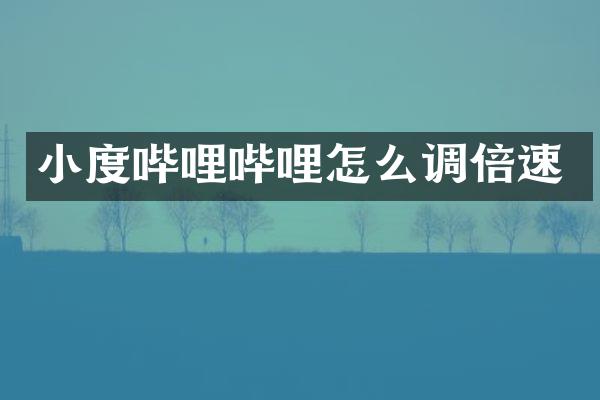 小度哔哩哔哩怎么调倍速