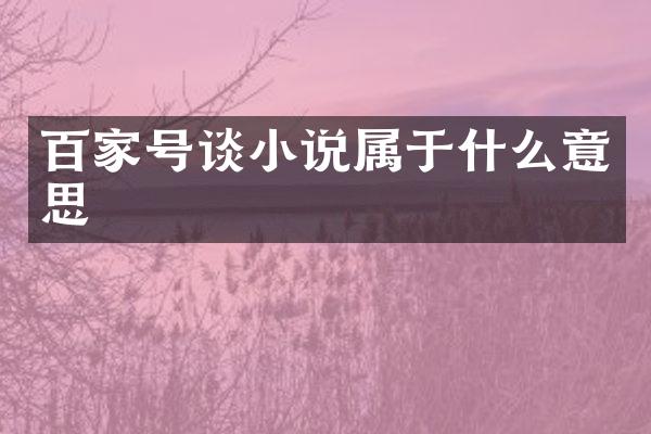 百家号谈小说属于什么意思