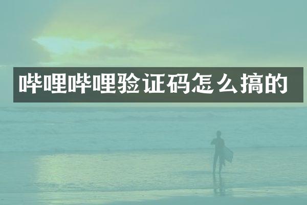 哔哩哔哩验证码怎么搞的