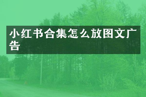 小红书合集怎么放图文广告