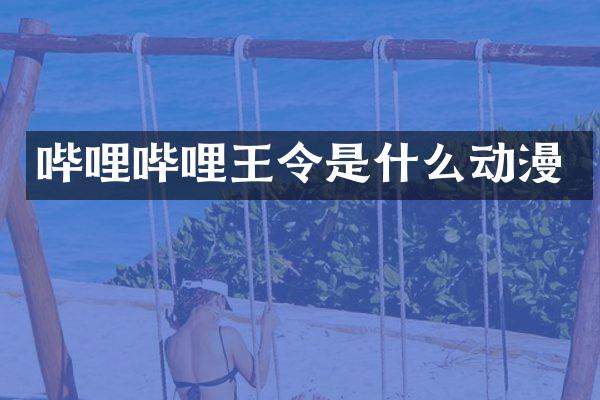哔哩哔哩王令是什么动漫