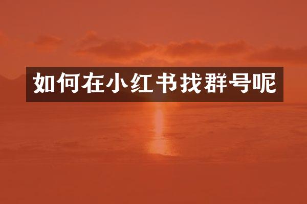 如何在小红书找群号呢