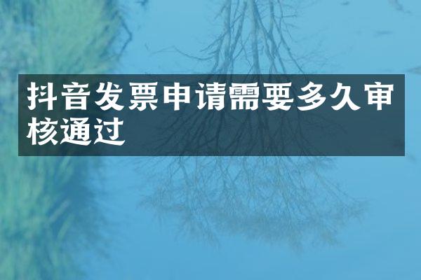 抖音发票申请需要多久审核通过