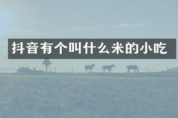 抖音有个叫什么米的小吃
