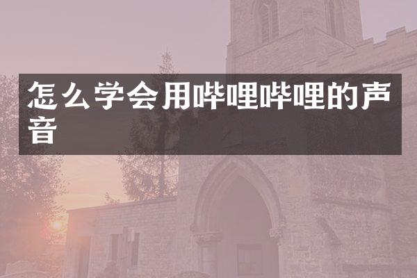 怎么学会用哔哩哔哩的声音