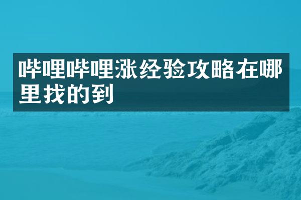 哔哩哔哩涨经验攻略在哪里找的到