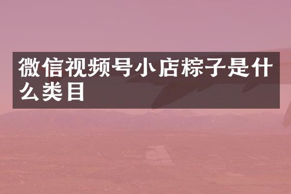 微信视频号小店粽子是什么类目