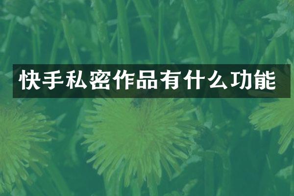 快手私密作品有什么功能