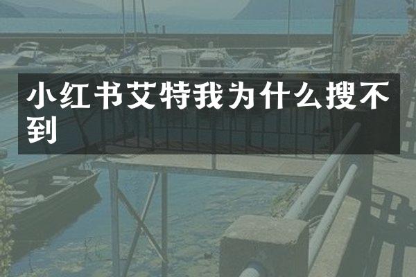 小红书艾特我为什么搜不到