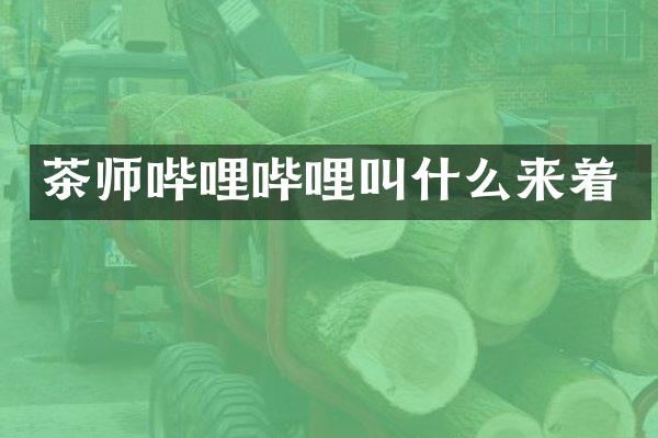 茶师哔哩哔哩叫什么来着
