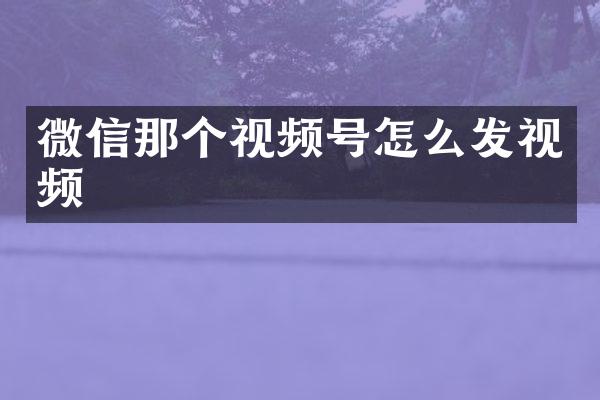 微信那个视频号怎么发视频