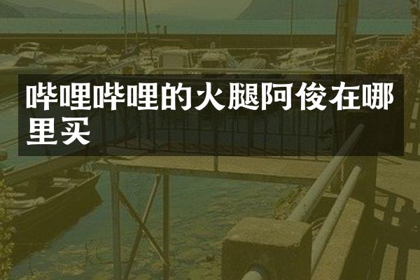 哔哩哔哩的火腿阿俊在哪里买