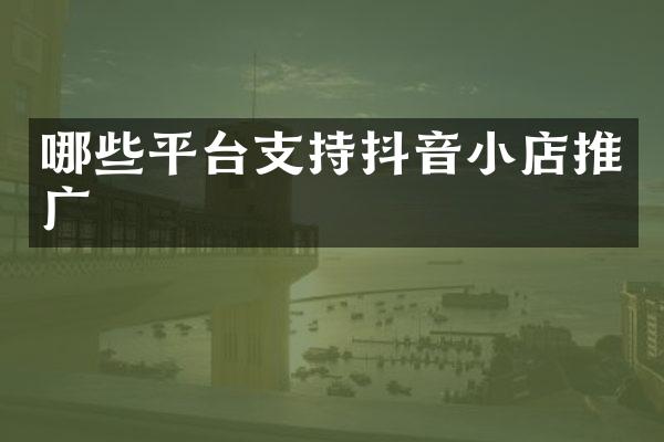 哪些平台支持抖音小店推广