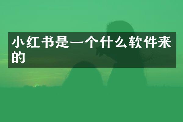 小红书是一个什么软件来的