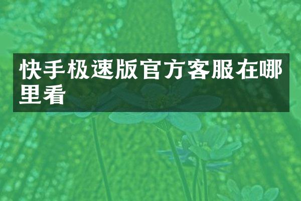 快手极速版官方客服在哪里看