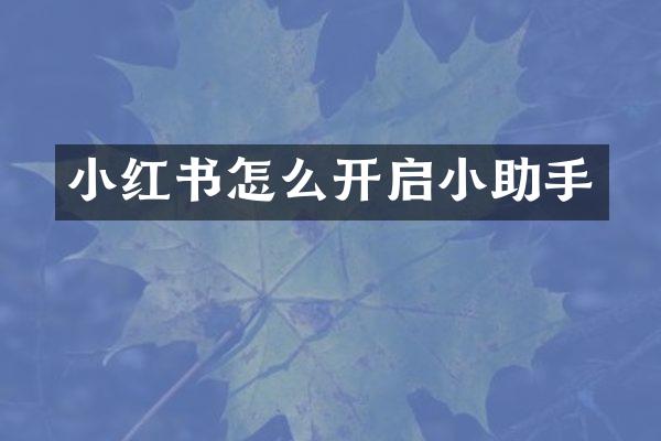 小红书怎么开启小助手