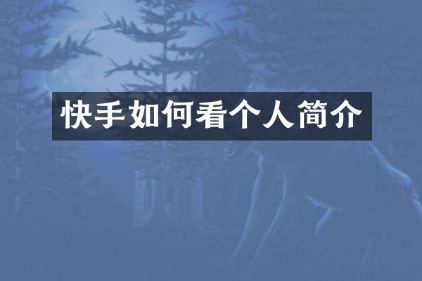 快手如何看个人简介