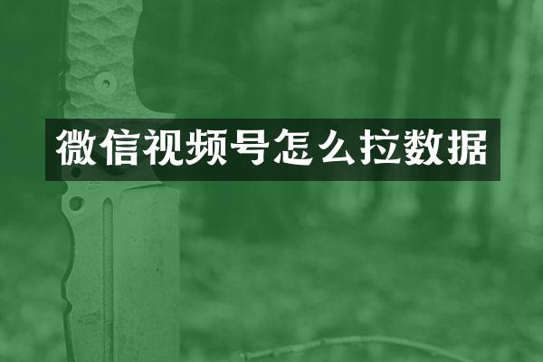 微信视频号怎么拉数据