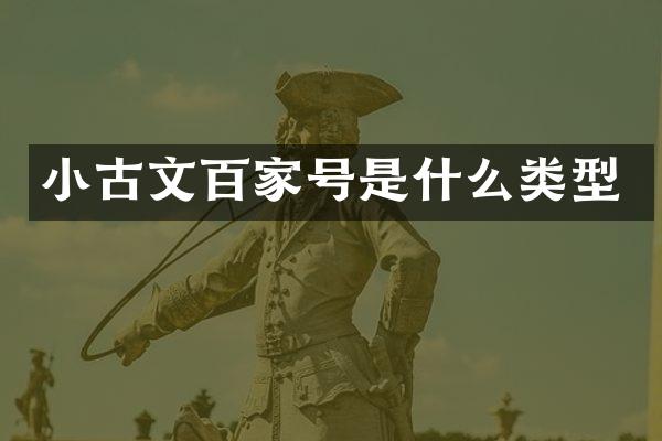 小古文百家号是什么类型