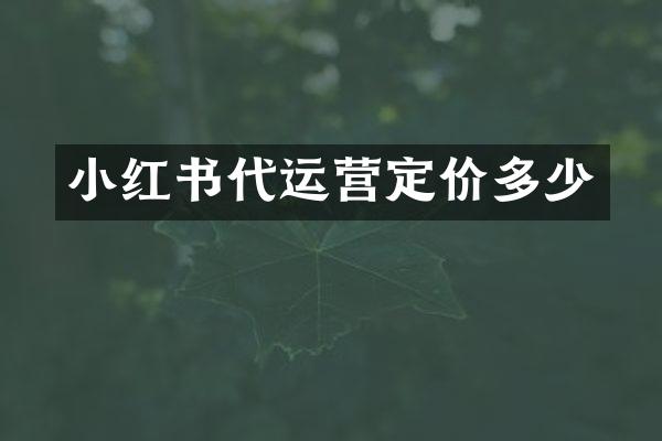 小红书定价多少
