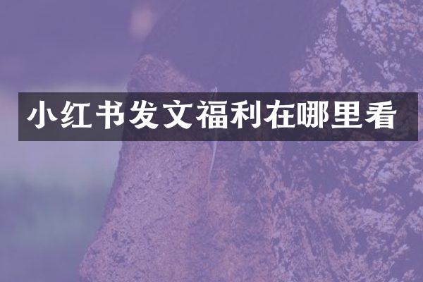 小红书发文福利在哪里看