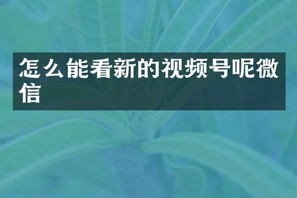 怎么能看新的视频号呢微信