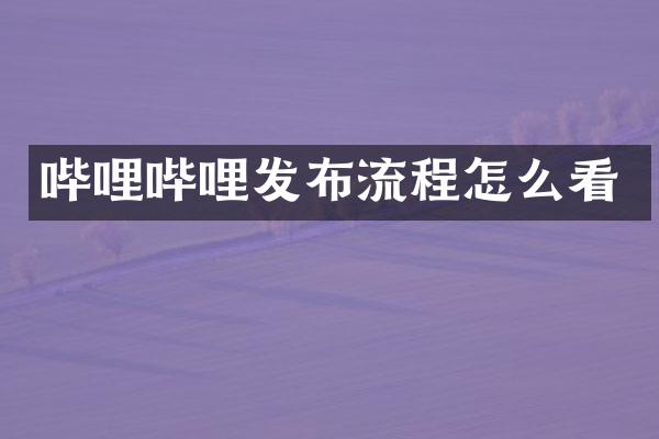 哔哩哔哩发布流程怎么看