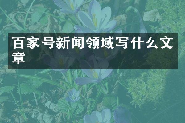 百家号新闻领域写什么文章