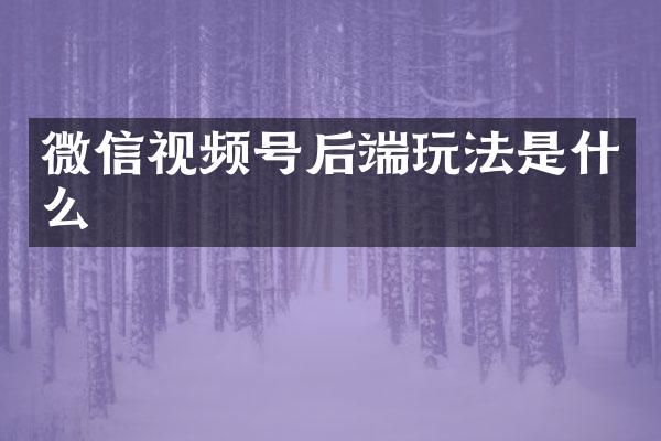 微信视频号后端玩法是什么