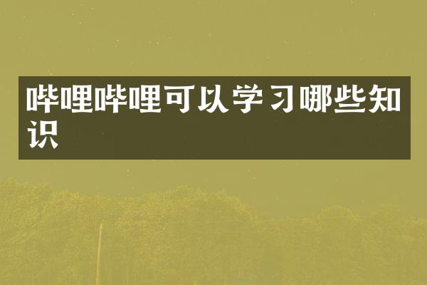哔哩哔哩可以学习哪些知识