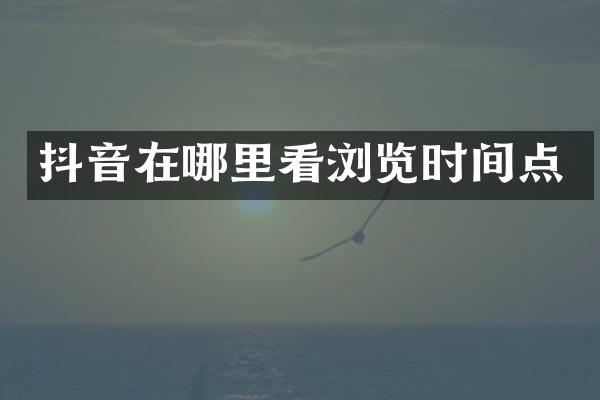 抖音在哪里看浏览时间点
