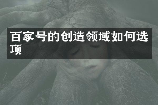 百家号的创造领域如何选项