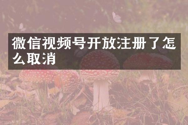微信视频号开放注册了怎么取消