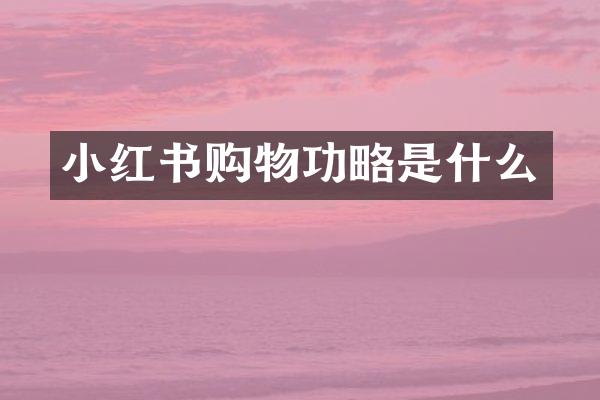 小红书购物功略是什么