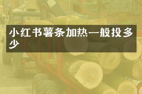 小红书薯条加热一般投多少