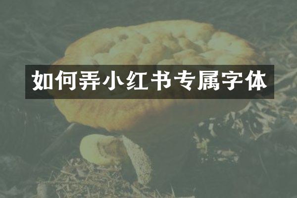 如何弄小红书专属字体