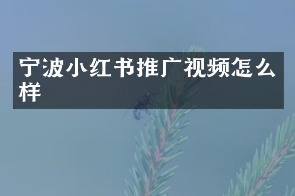 宁波小红书推广视频怎么样