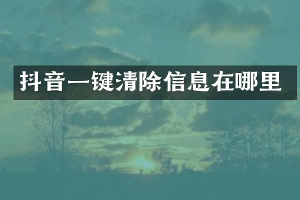 抖音一键清除信息在哪里