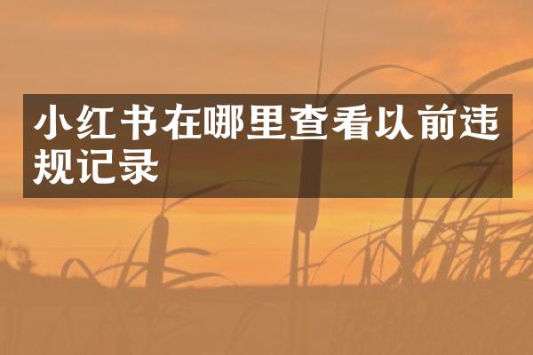 小红书在哪里查看以前违规记录