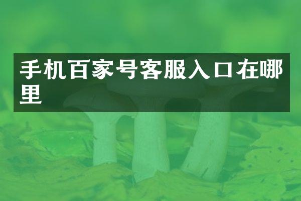 手机百家号客服入口在哪里