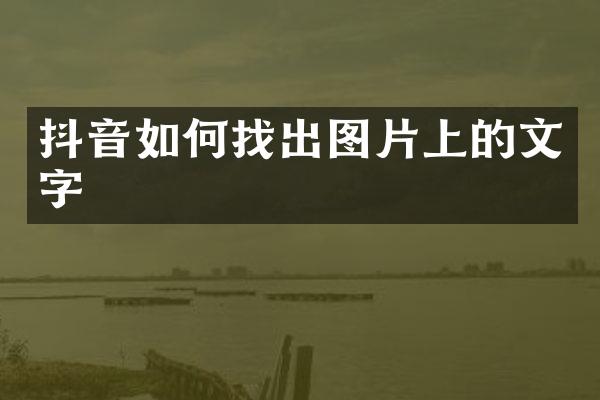抖音如何找出图片上的文字